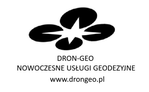 logo DRON-GEO